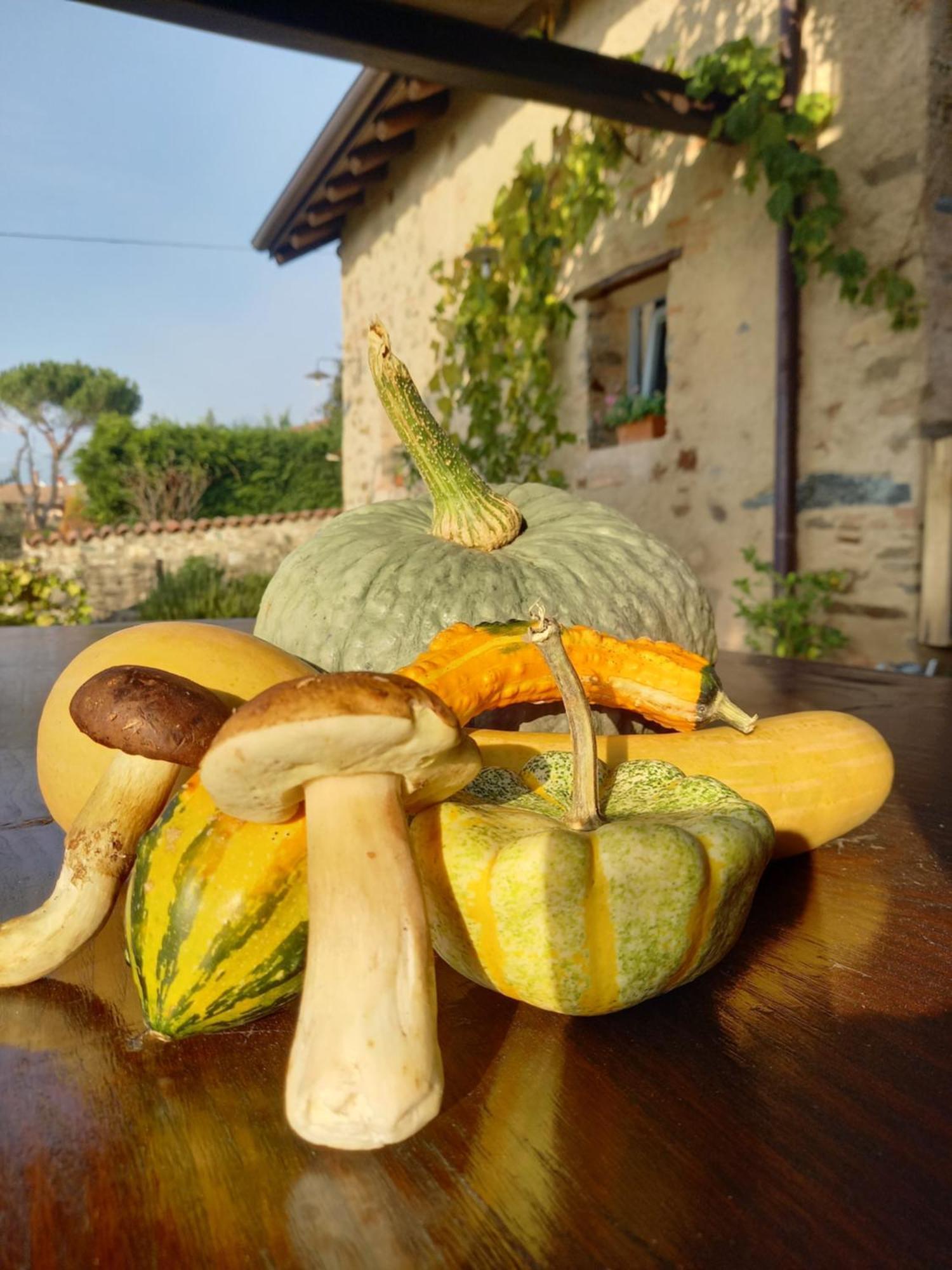 B&B Cascina La Cinciallegra Oggiono Εξωτερικό φωτογραφία