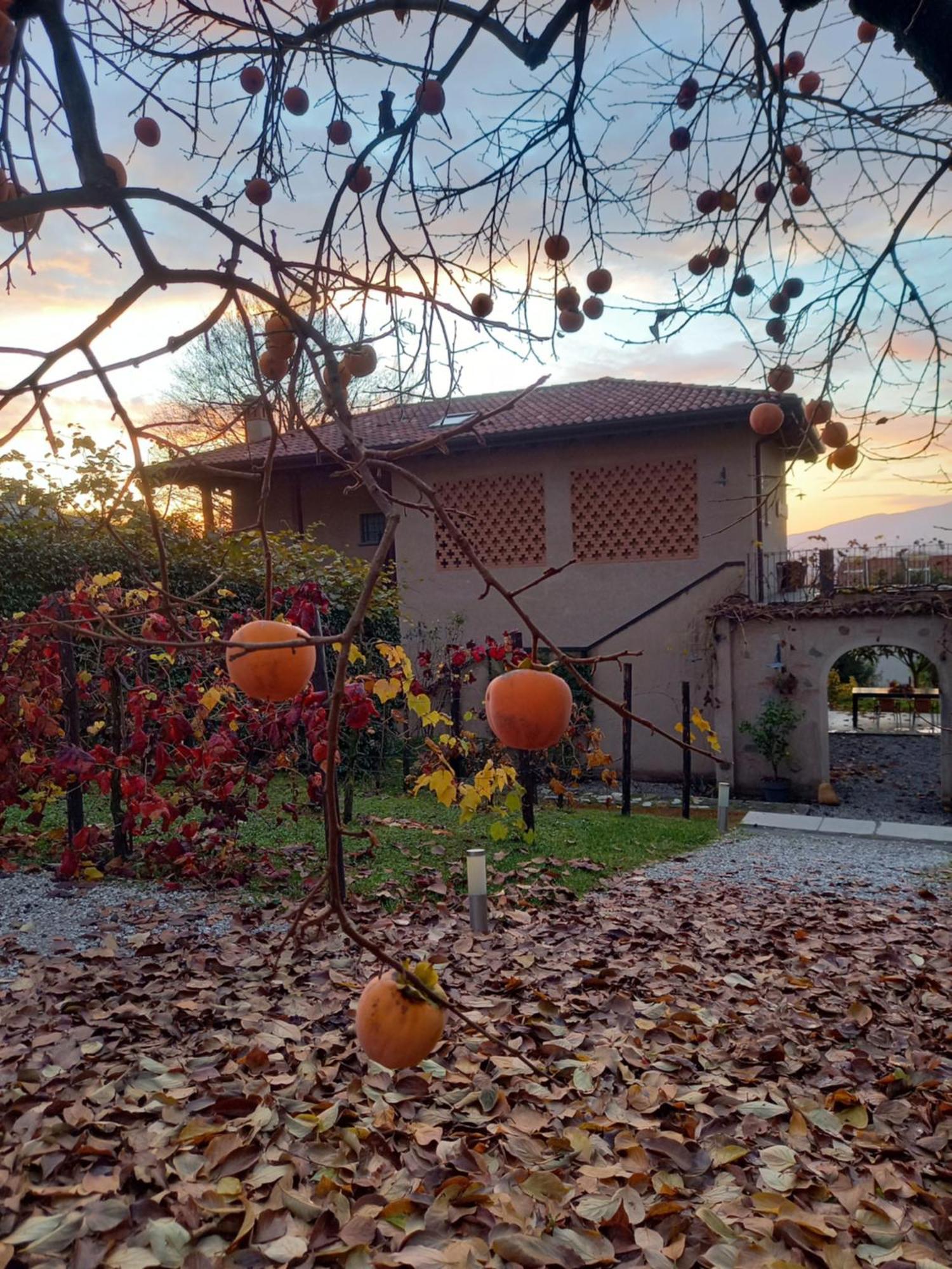 B&B Cascina La Cinciallegra Oggiono Εξωτερικό φωτογραφία